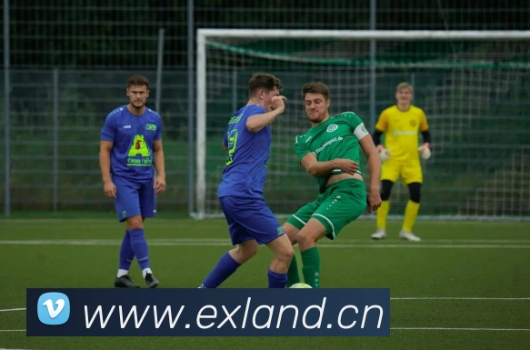 多媒体互动体验