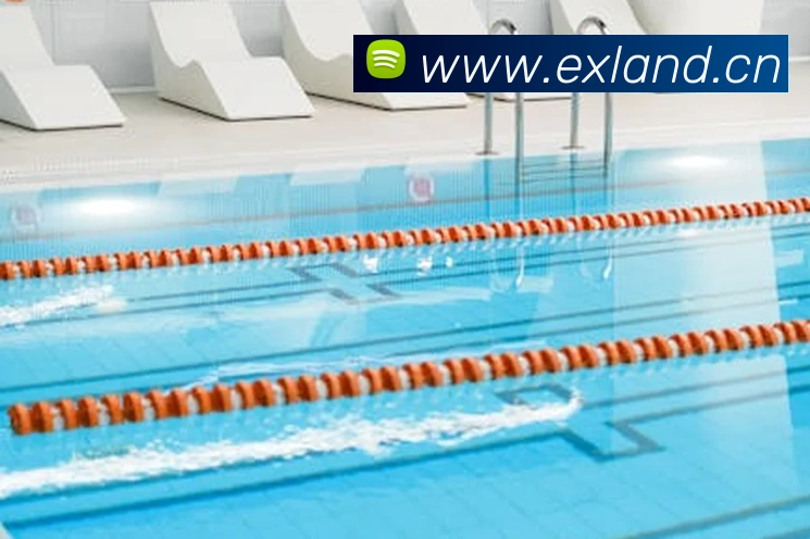 开云在线官网登录APP 高清赛事图